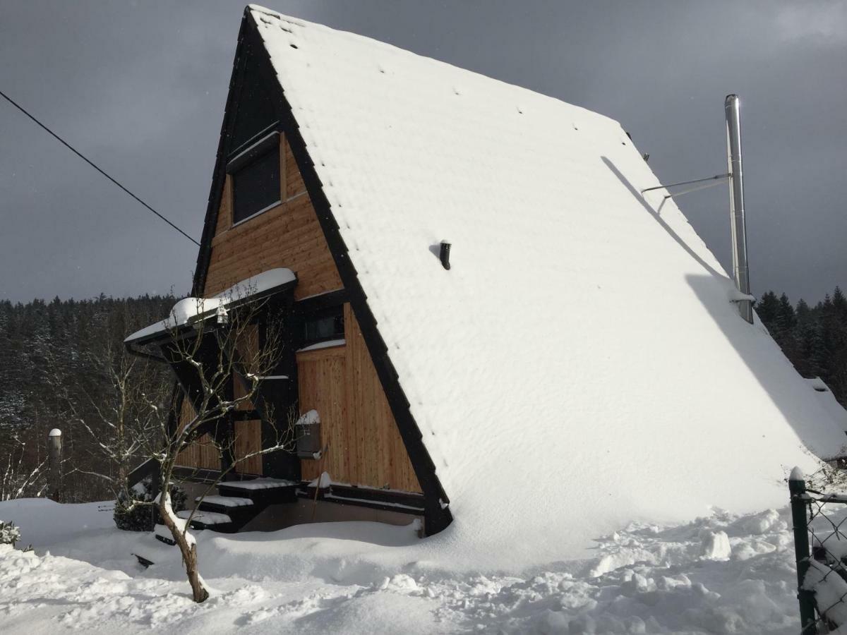 Haus Fichtelgebirge Villa Nagel Екстериор снимка